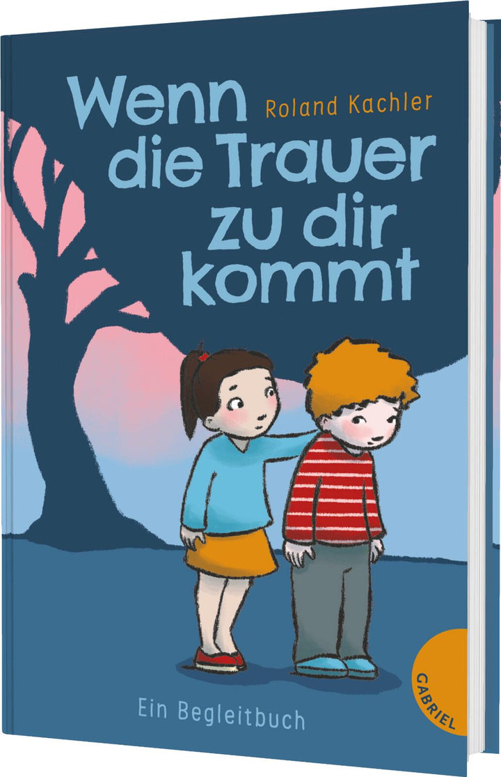 von Roland Kachler, illustriert von Friederike Ablang: Wenn die Trauer zu dir kommt