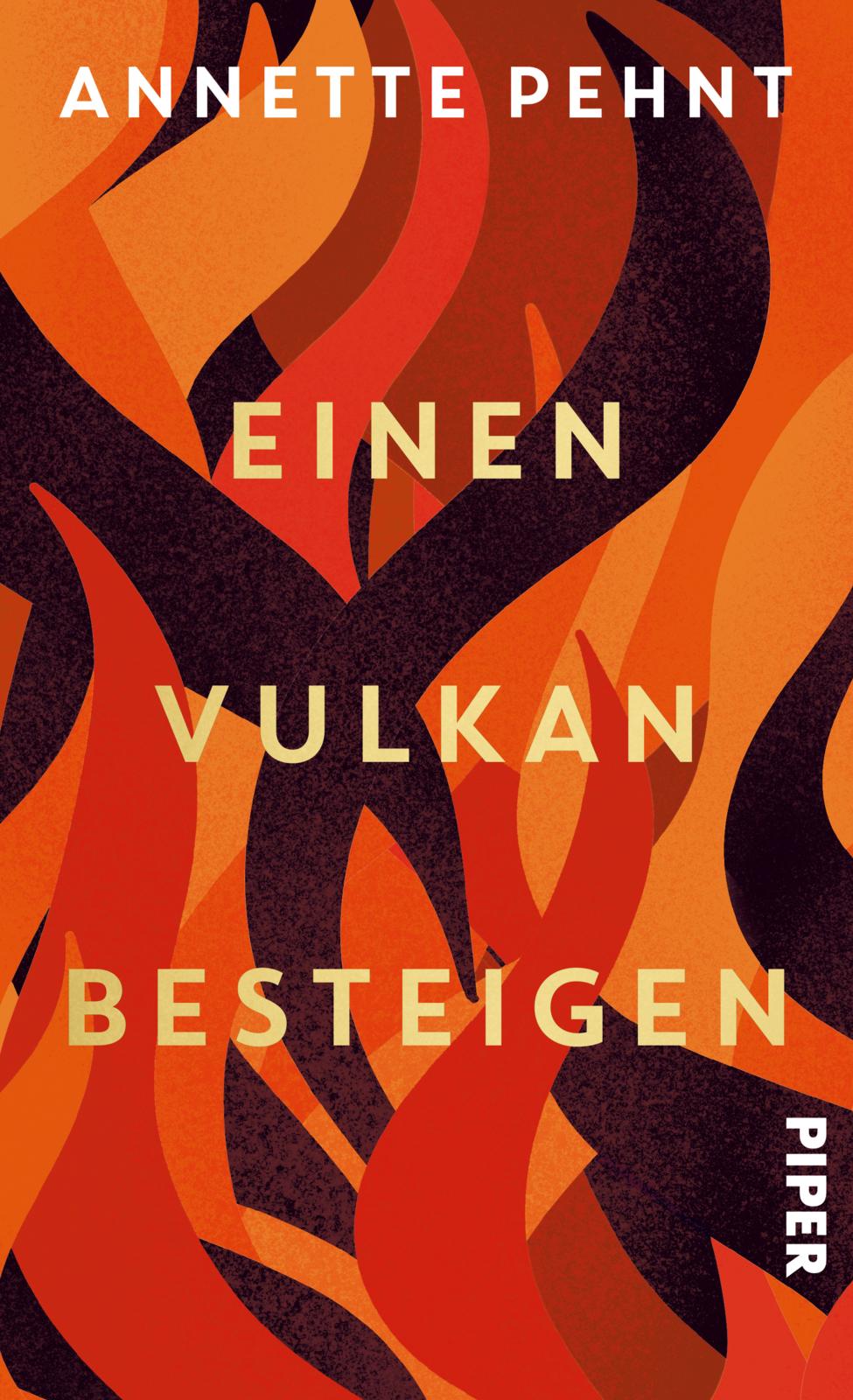 von Annette Pehnt: Einen Vulkan besteigen