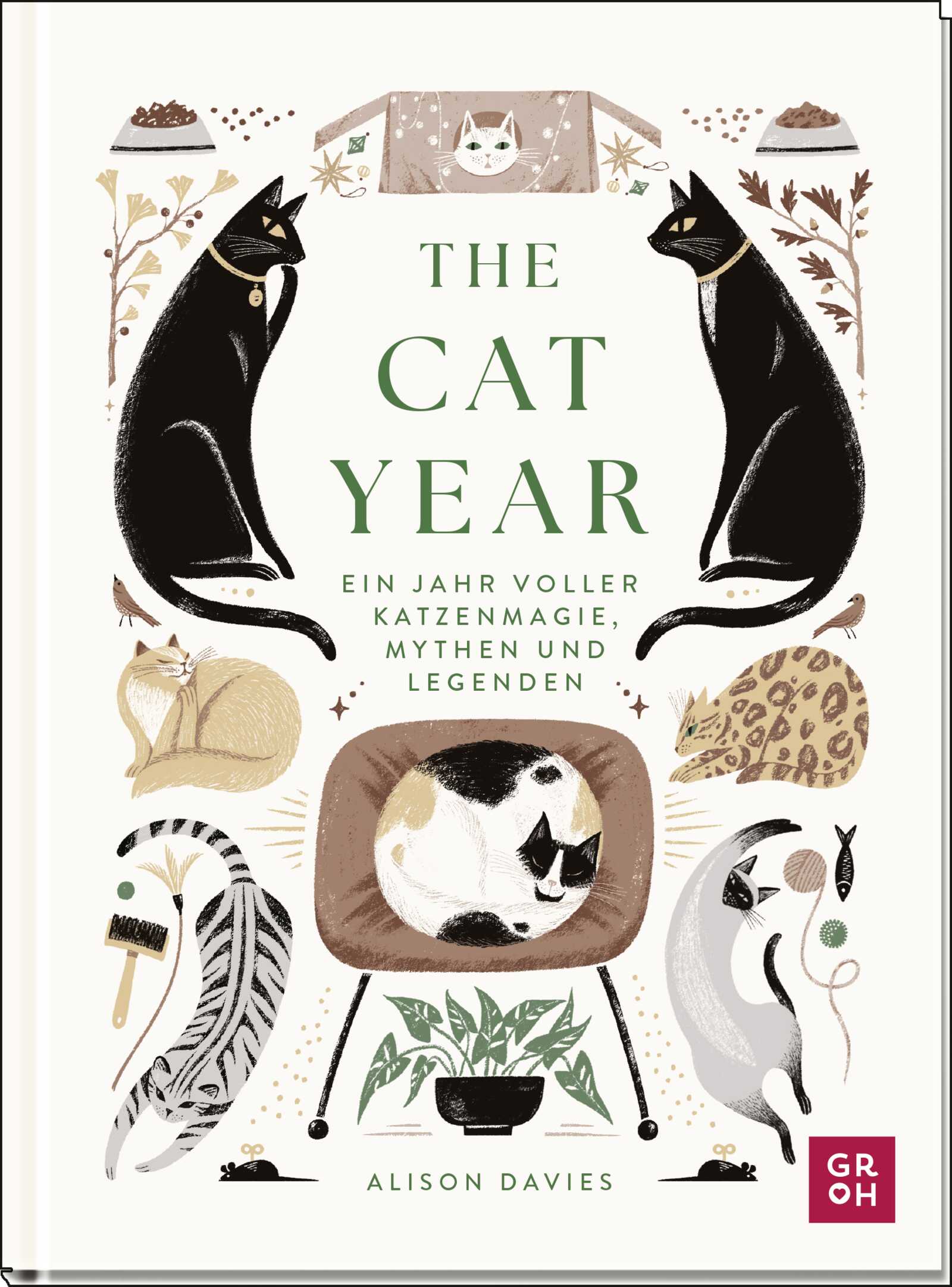 von Alison Davies, illustriert von Anastasia Stefurak, übersetzt von Nadine Lipp: The Cat Year