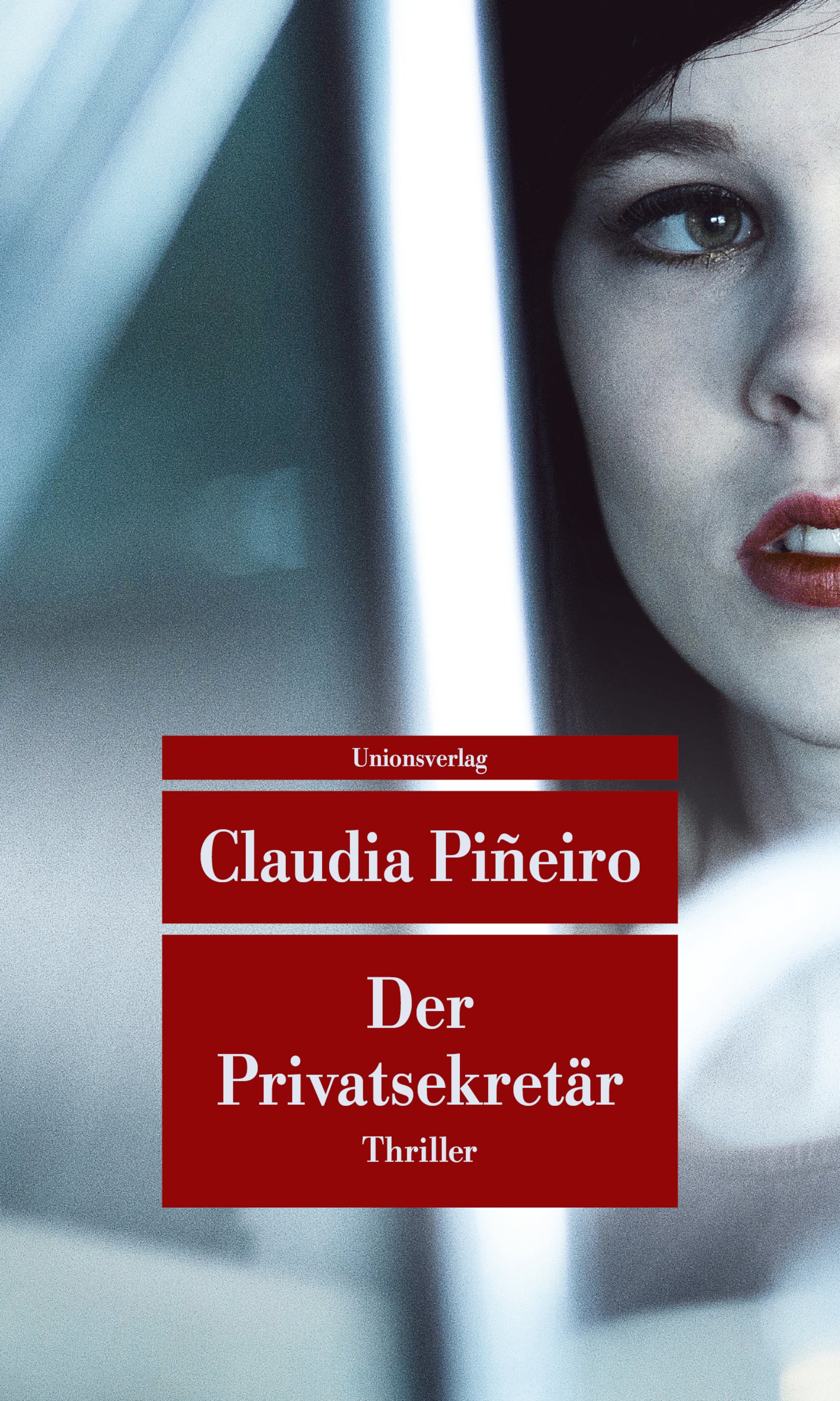 Piñeiro, Claudia: Der Privatsekretär