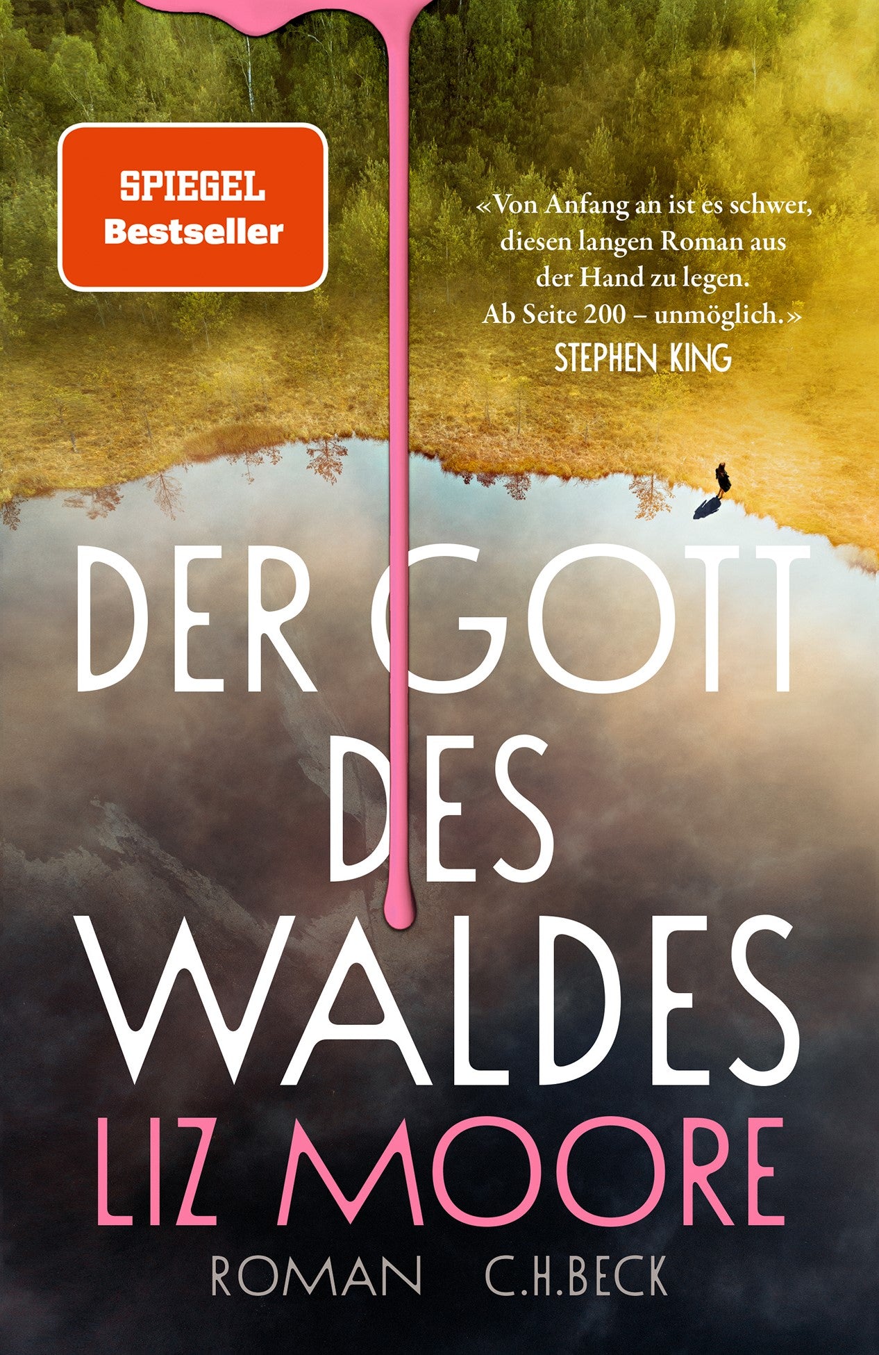 Moore, Liz: Der Gott des Waldes