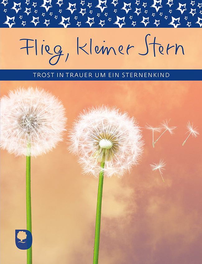 Flieg, kleiner Stern - Trost in Trauer um ein Sternenkind