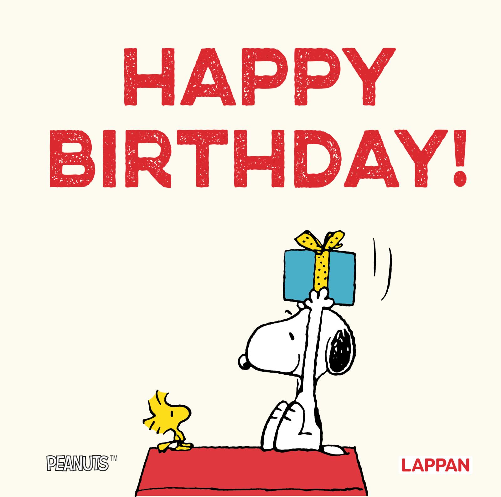 Schulz, Charles M.: Peanuts Geschenkbuch: Happy Birthday!