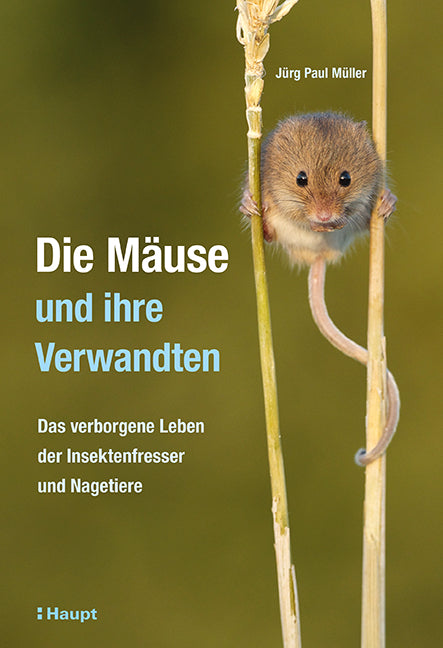 Müller, Jürg Paul: Die Mäuse und ihre VerwandtenDas verborgene Leben der Insektenfresser und Nagetiere