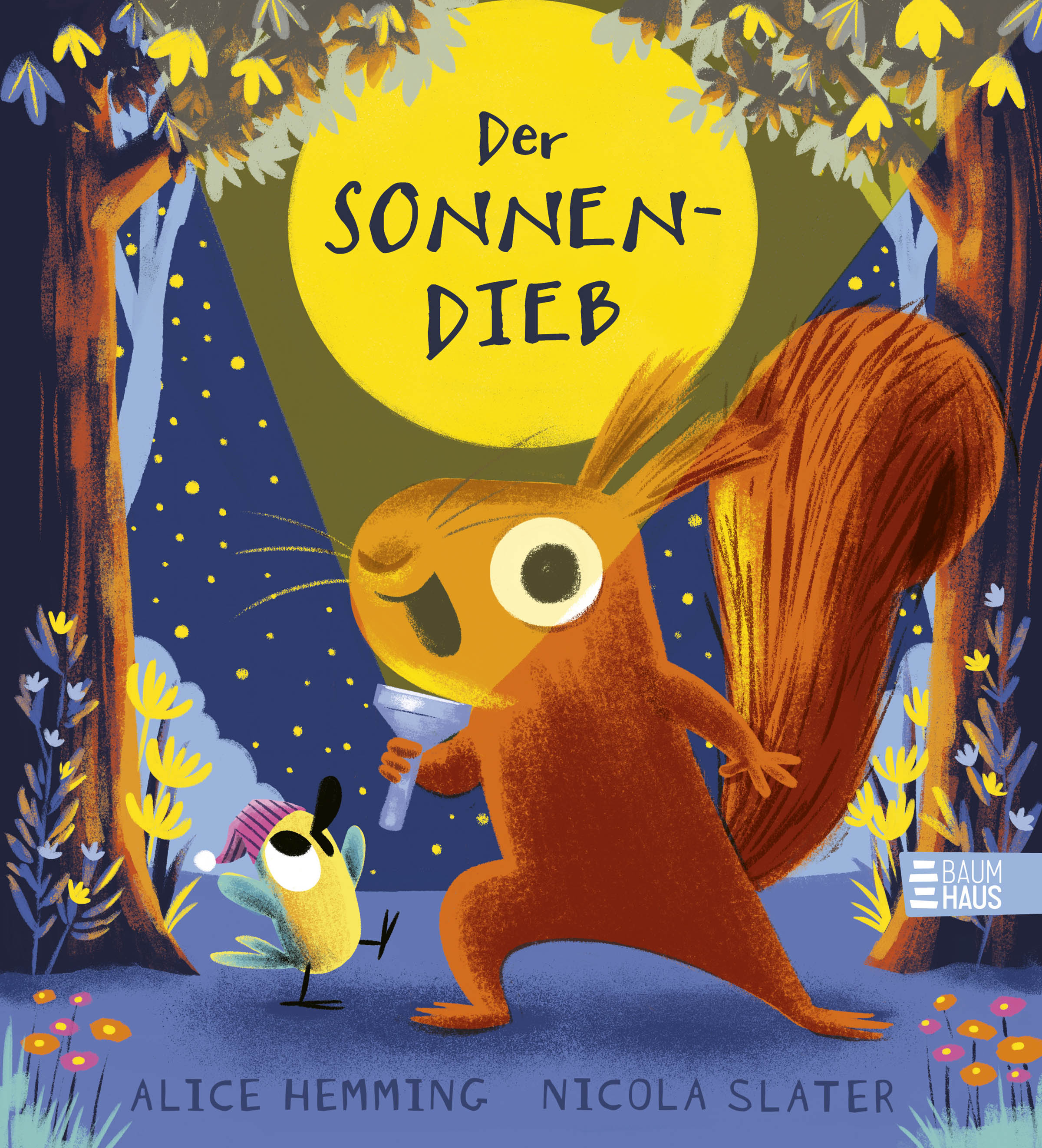 von Alice Hemming, illustriert von Nicola Slater: Der Sonnendieb