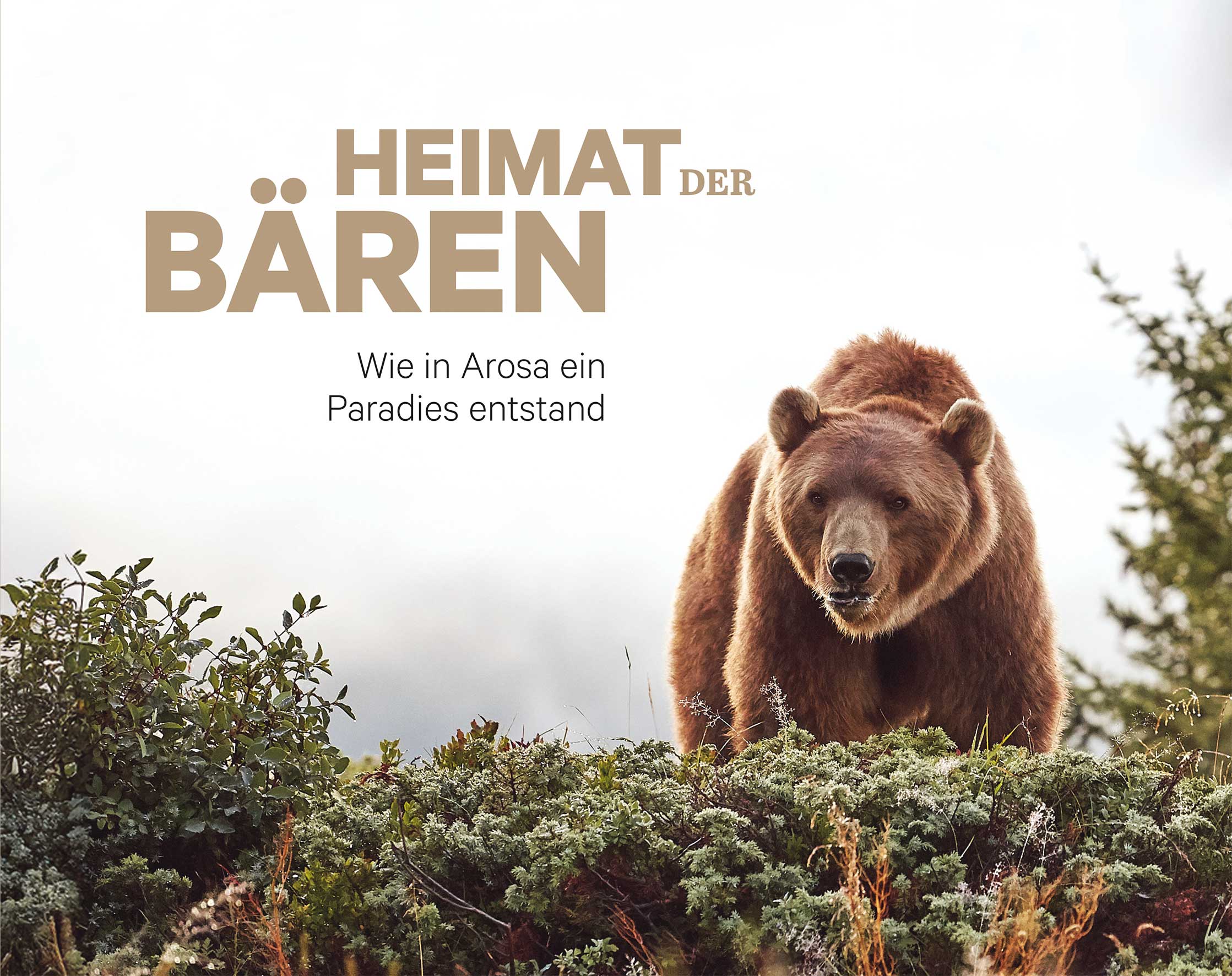 Heimat der Bären -Graubünden und seine Natur   
