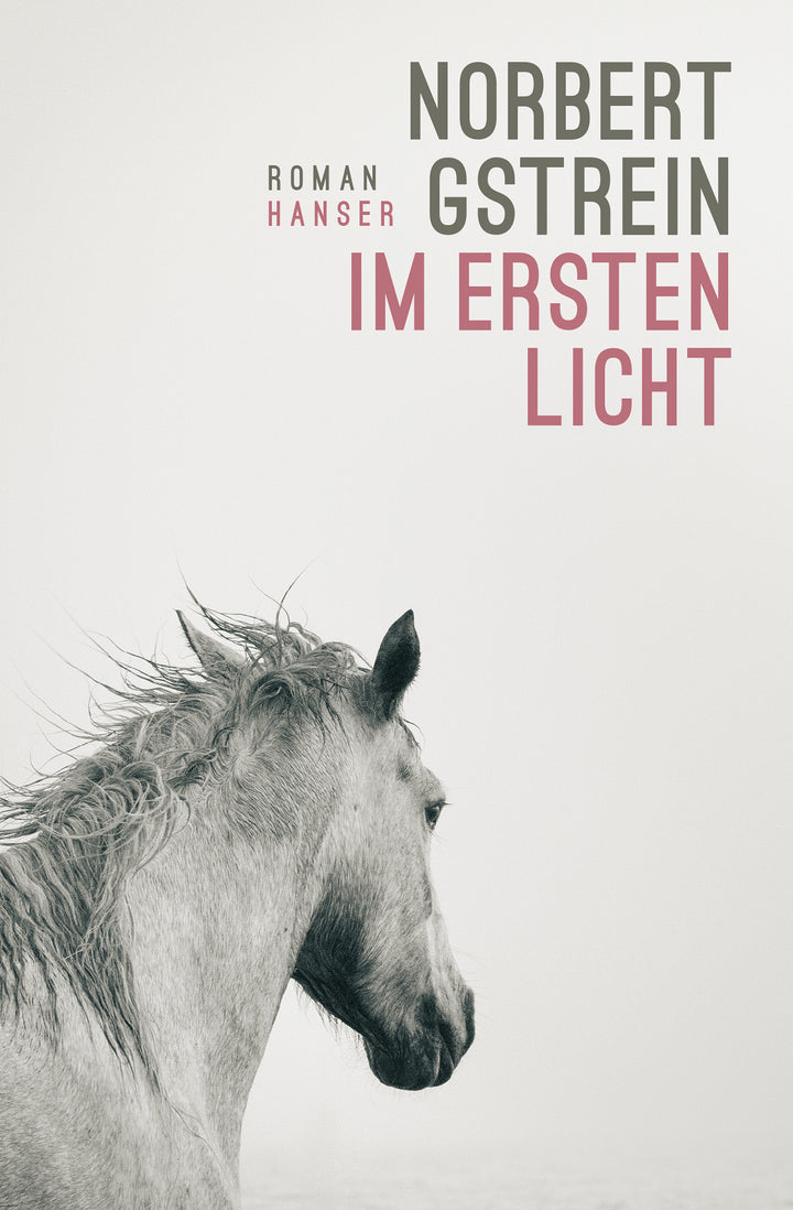 von Norbert Gstrein: Im ersten Licht