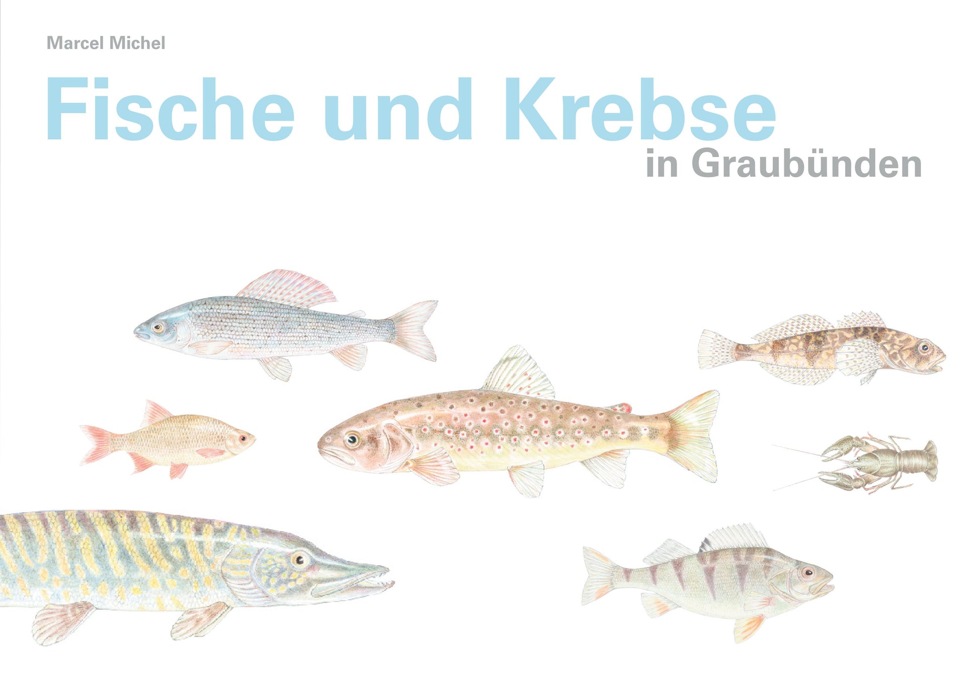 Michel, Marcel: Fische und Krebse in Graubünden