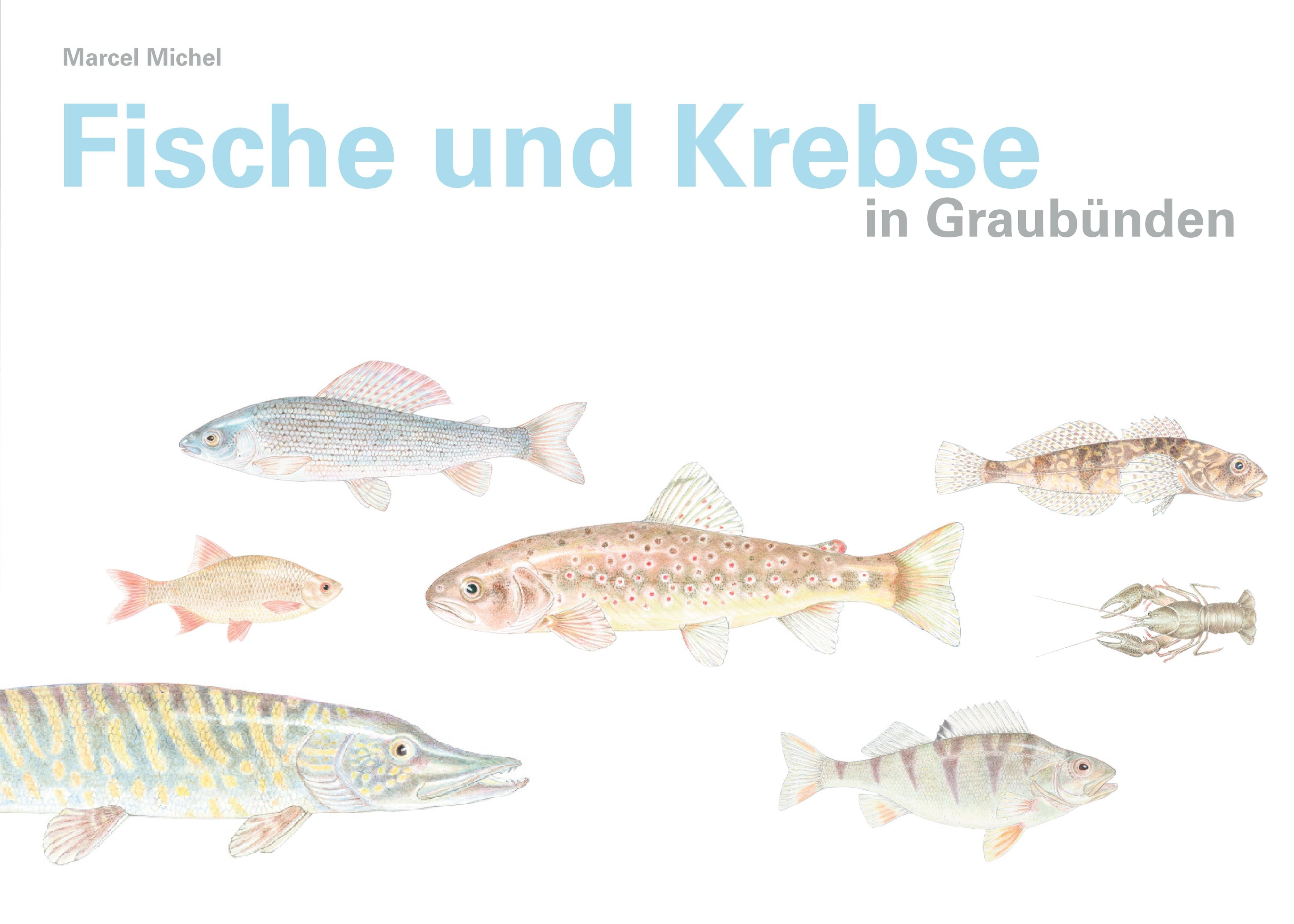 Michel, Marcel: Fische und Krebse in Graubünden