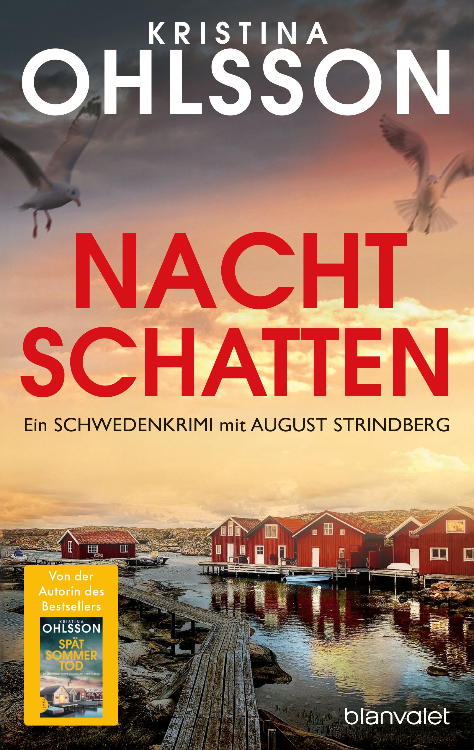 von Kristina Ohlsson, übersetzt von Susanne Dahmann: Nachtschatten