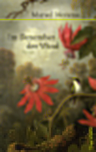 Moreno, Marvel: Im Dezember der Wind - Belletristik  