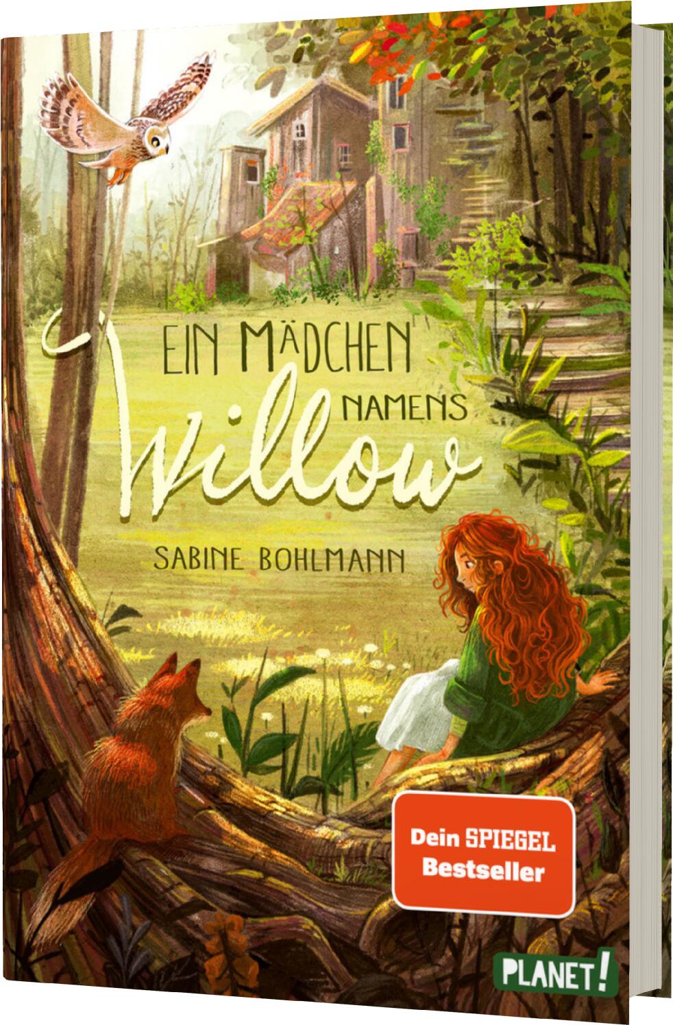 Bohlmann, Sabine: Ein Mädchen namens Willow 1: Ein Mädchen namens Willow