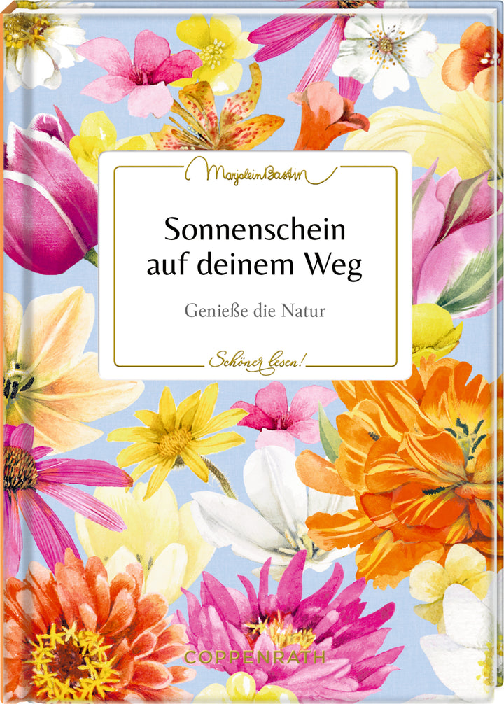 illustriert von Marjolein Bastin: Sonnenschein auf deinem Weg