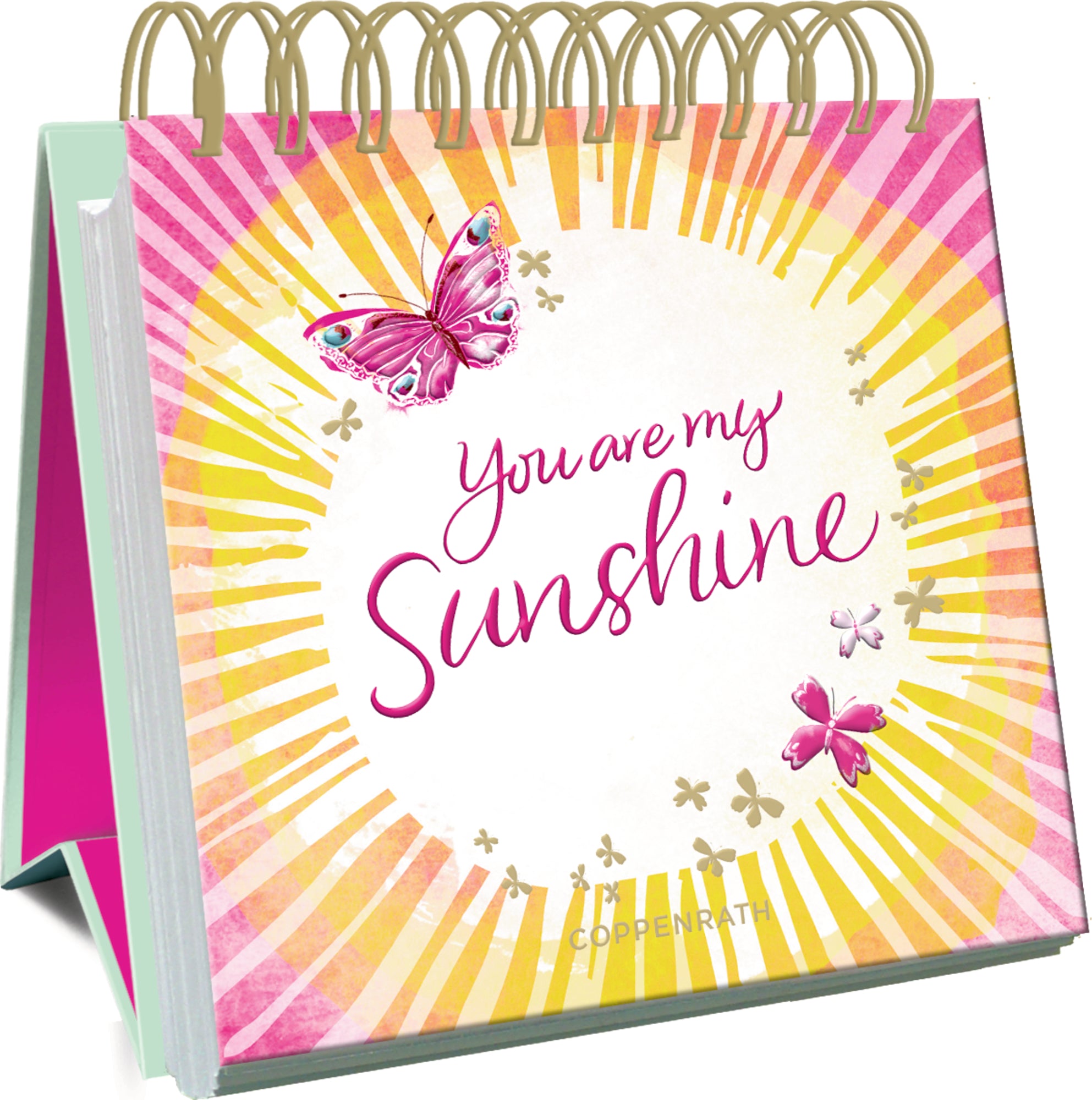 illustriert von Tanja Meyer: You are my Sunshine
