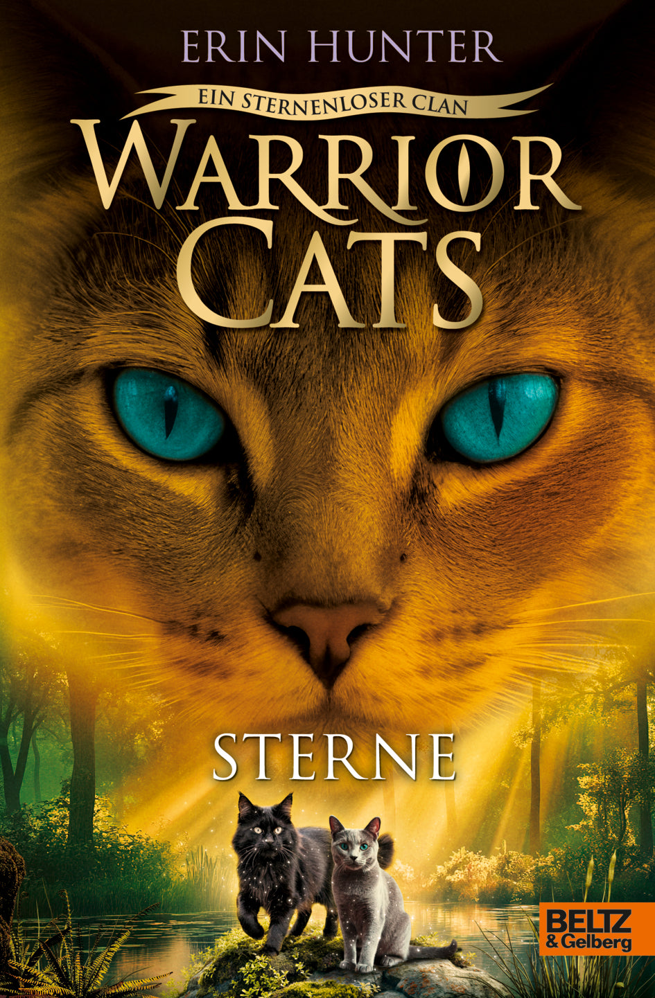 von Erin Hunter, übersetzt von Anja Hansen-Schmidt: Warrior Cats - Ein sternenloser Clan. Sterne