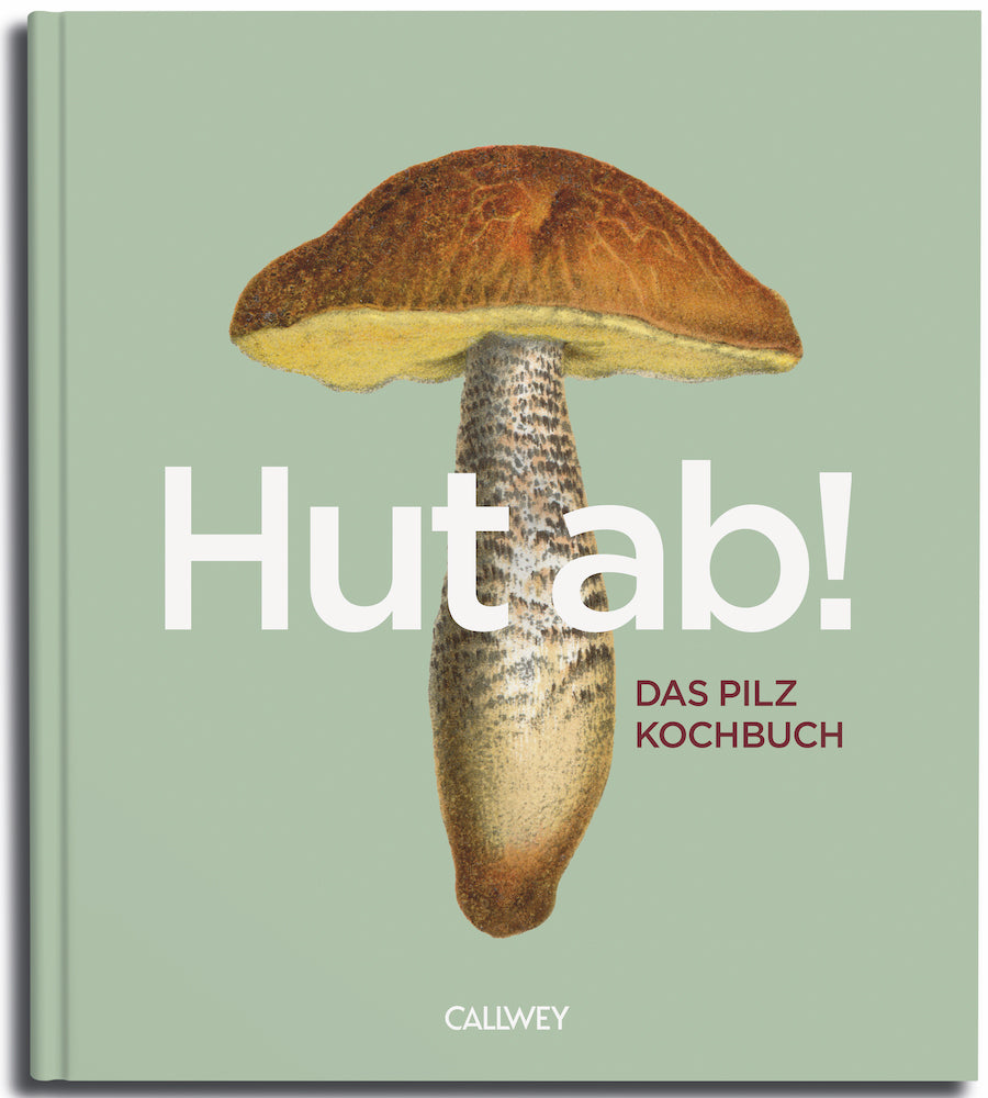 von Martin H. Lorenz, unter mitarbeit von Dennis Regul: Hut ab!