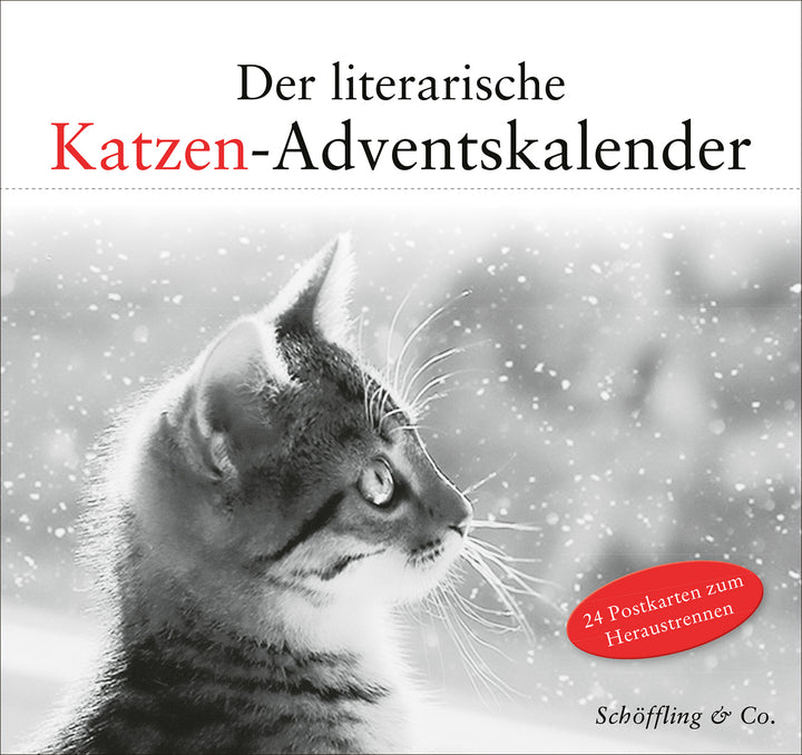 von Julia Bachstein: Der literarische Katzen-Adventskalender -