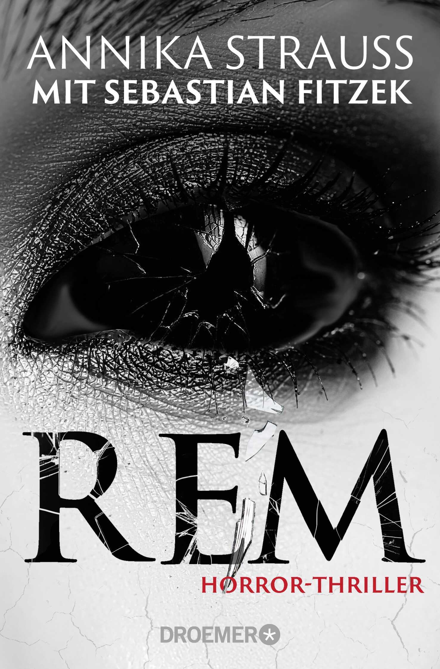 von Annika Strauss, zusammen mit Sebastian Fitzek: REM
