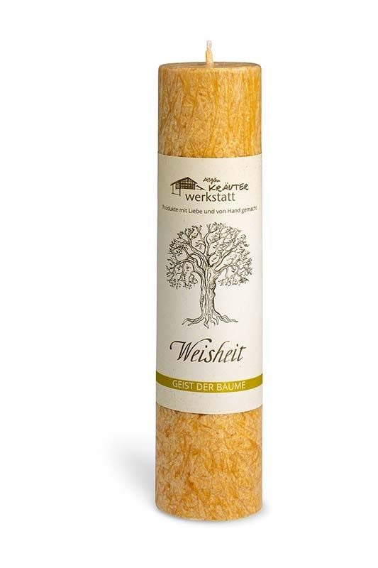 Allgäuer Heilkräuter-Kerze "Weisheit" - die Buche