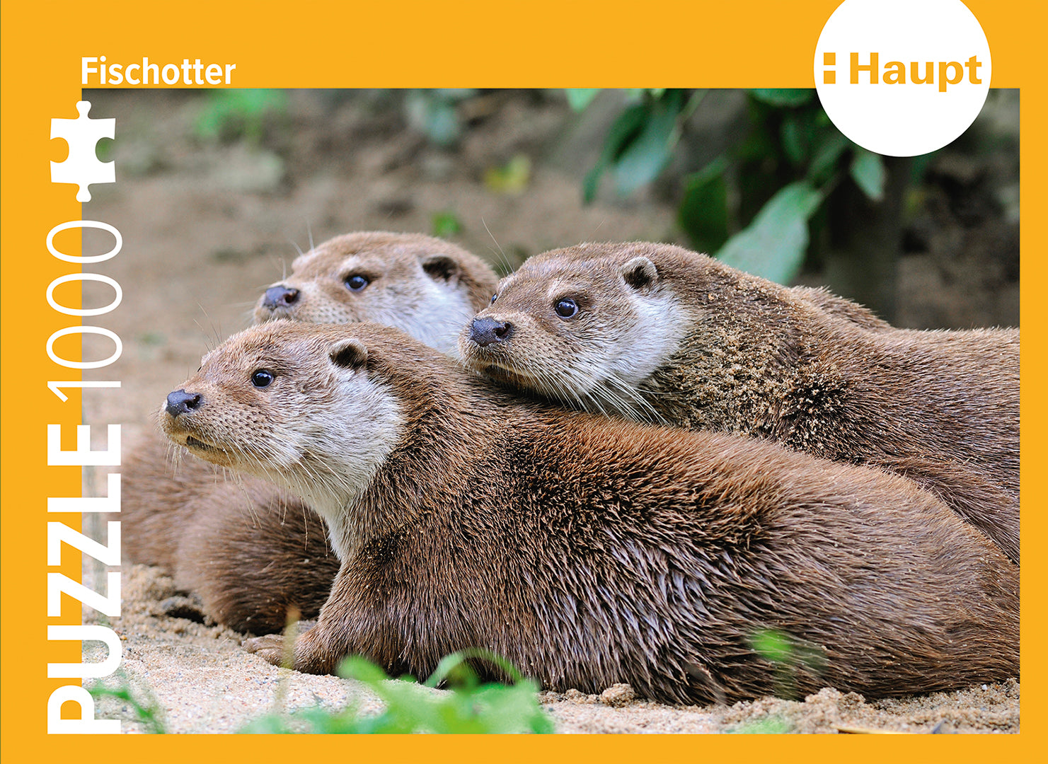 herausgegeben von Haupt Verlag: Fischotter – Puzzle -