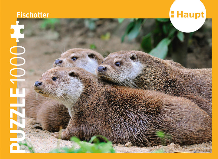 herausgegeben von Haupt Verlag: Fischotter – Puzzle -