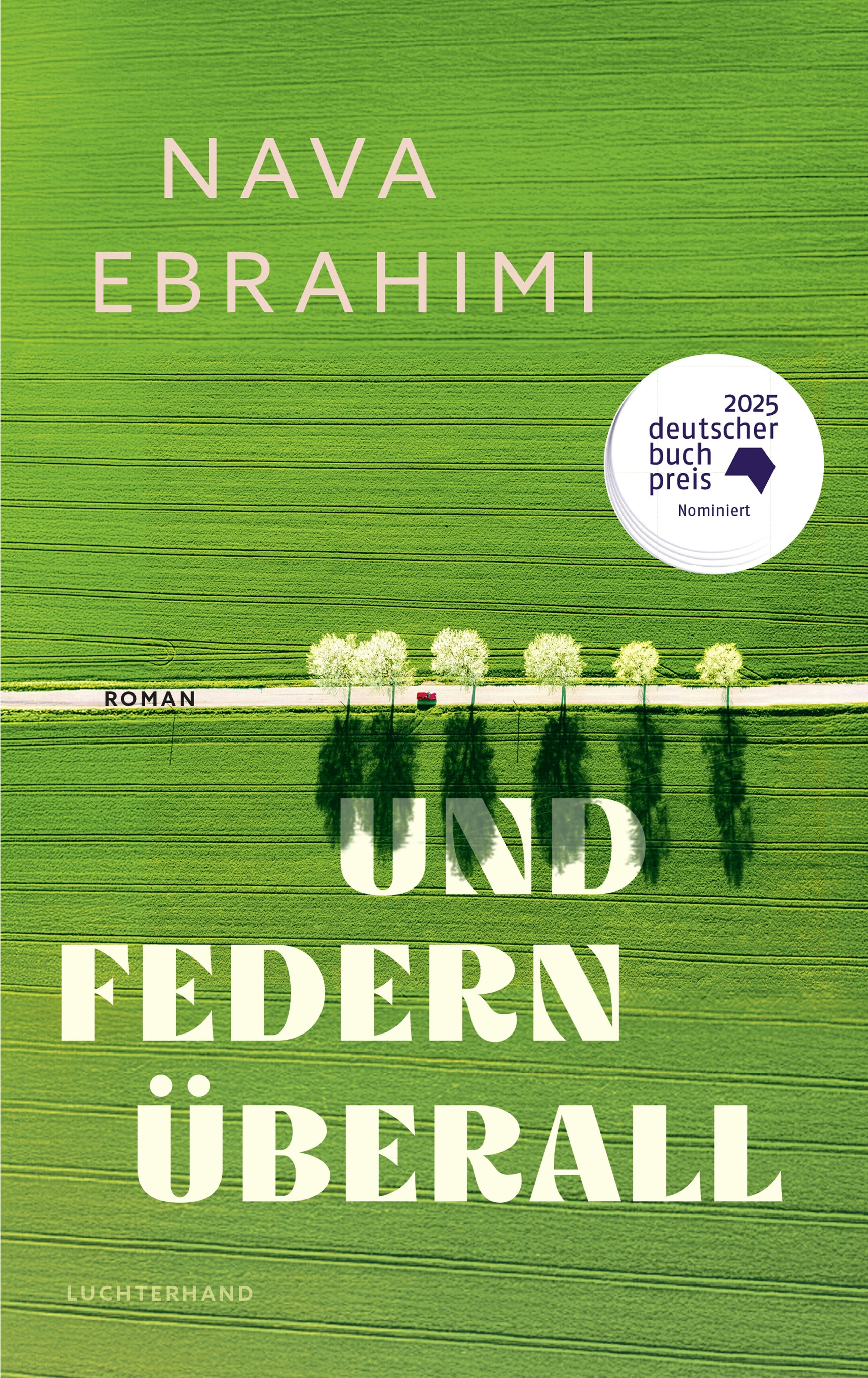 von Nava Ebrahimi: Und Federn überall